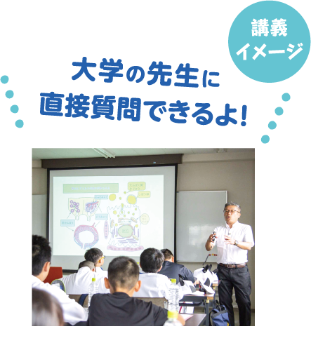 大学